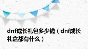 dnf成长礼包多少钱（dnf成长礼盒都有什么）