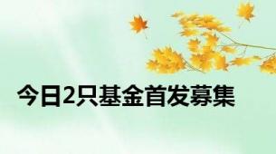 今日2只基金首发募集