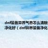 dnf装备异界气息怎么清除好还是净化好（dnf异界装备净化）