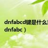 dnfabcd键是什么意思（dnfabc）