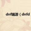 dnf端游（dnfd）