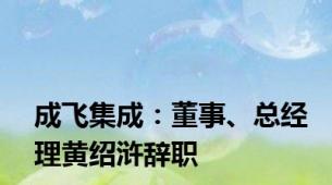 成飞集成：董事、总经理黄绍浒辞职