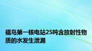 福岛第一核电站25吨含放射性物质的水发生泄漏