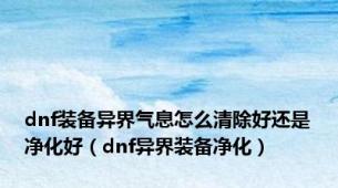 dnf装备异界气息怎么清除好还是净化好（dnf异界装备净化）