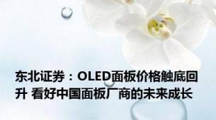 东北证券：OLED面板价格触底回升 看好中国面板厂商的未来成长