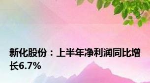 新化股份：上半年净利润同比增长6.7%