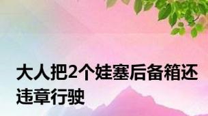 大人把2个娃塞后备箱还违章行驶