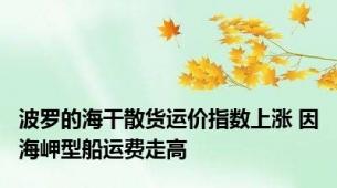 波罗的海干散货运价指数上涨 因海岬型船运费走高