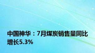 中国神华：7月煤炭销售量同比增长5.3%