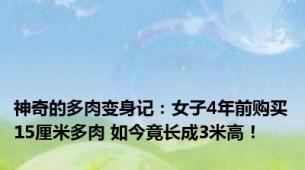 神奇的多肉变身记：女子4年前购买15厘米多肉 如今竟长成3米高！