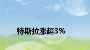 特斯拉涨超3%