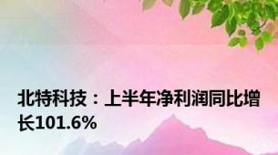 北特科技：上半年净利润同比增长101.6%