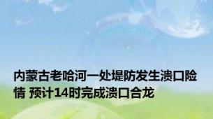 内蒙古老哈河一处堤防发生溃口险情 预计14时完成溃口合龙