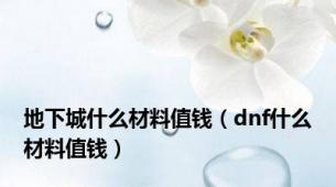 地下城什么材料值钱（dnf什么材料值钱）