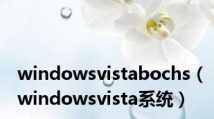 windowsvistabochs（windowsvista系统）