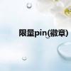 限量pin(徽章)