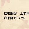 佳电股份：上半年净利润下降19.57%