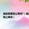 真的有爱情公寓吗?（真的有爱情公寓吗）