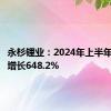 永杉锂业：2024年上半年净利润增长648.2%