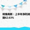 皖维高新：上半年净利润同比下降62.63%