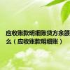 应收账款明细账贷方余额表示什么（应收账款明细账）