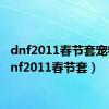 dnf2011春节套宠物（dnf2011春节套）