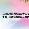 左顾右盼的反义词是什么词语呢一年级（左顾右盼的反义词是什么）