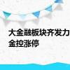 大金融板块齐发力 国盛金控涨停