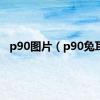 p90图片（p90兔耳）