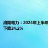 涪陵电力：2024年上半年净利润下降24.2%