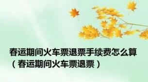 春运期间火车票退票手续费怎么算（春运期间火车票退票）