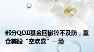 部分QDII基金回撤猝不及防，重仓美股“空欢喜”一场