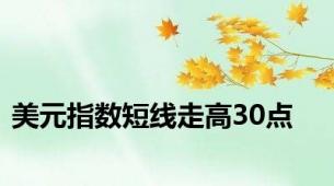 美元指数短线走高30点