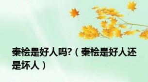 秦桧是好人吗?（秦桧是好人还是坏人）