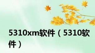 5310xm软件（5310软件）