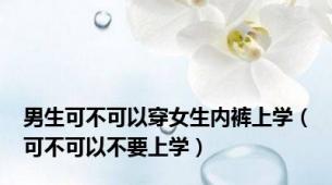 男生可不可以穿女生内裤上学（可不可以不要上学）