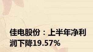 佳电股份：上半年净利润下降19.57%