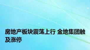 房地产板块震荡上行 金地集团触及涨停