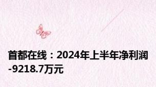 首都在线：2024年上半年净利润-9218.7万元