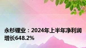 永杉锂业：2024年上半年净利润增长648.2%