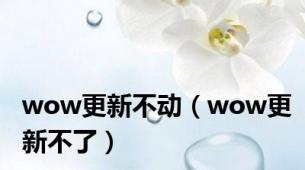 wow更新不动（wow更新不了）