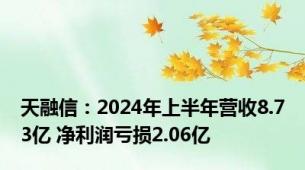 天融信：2024年上半年营收8.73亿 净利润亏损2.06亿