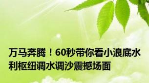 万马奔腾！60秒带你看小浪底水利枢纽调水调沙震撼场面