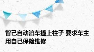 智己自动泊车撞上柱子 要求车主用自己保险维修