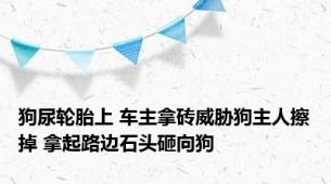 狗尿轮胎上 车主拿砖威胁狗主人擦掉 拿起路边石头砸向狗