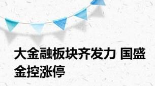 大金融板块齐发力 国盛金控涨停