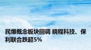 民爆概念板块回调 晓程科技、保利联合跌超5%