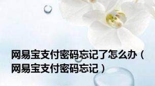 网易宝支付密码忘记了怎么办（网易宝支付密码忘记）