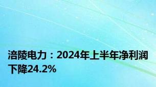 涪陵电力：2024年上半年净利润下降24.2%