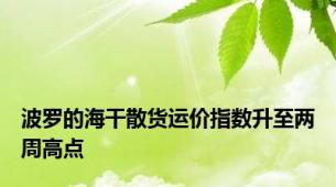 波罗的海干散货运价指数升至两周高点